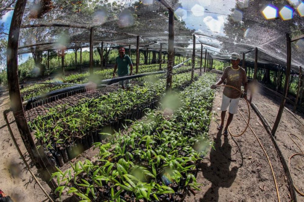 A produção agrícola se destaca com o cultivo de soja, café, cereais, algodão e outras lavouras temporárias