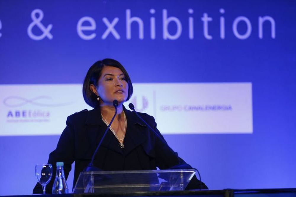 A presidente executiva da Associa&ccedil;&atilde;o Brasileira de Energia E&oacute;lica, Elbia Gannoum - Fernando Fraz&atilde;o/Ag&ecirc;ncia Brasil