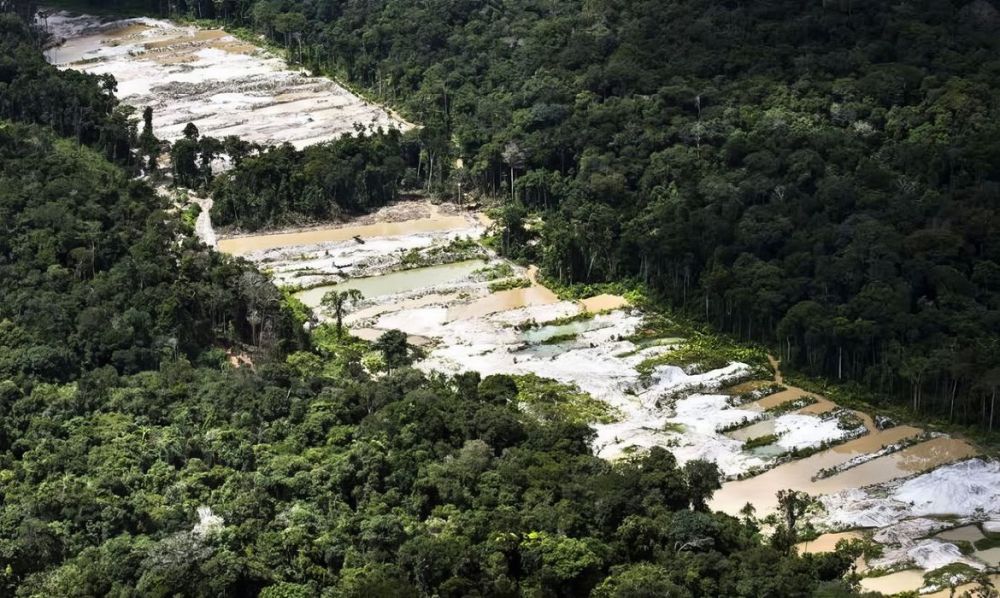 &copy; Daniel Beltr&aacute;/ Greenpeace/ Divulga&ccedil;&atilde;o
