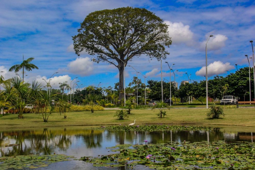 Foto: Marcelo Seabra / Ag. Pará