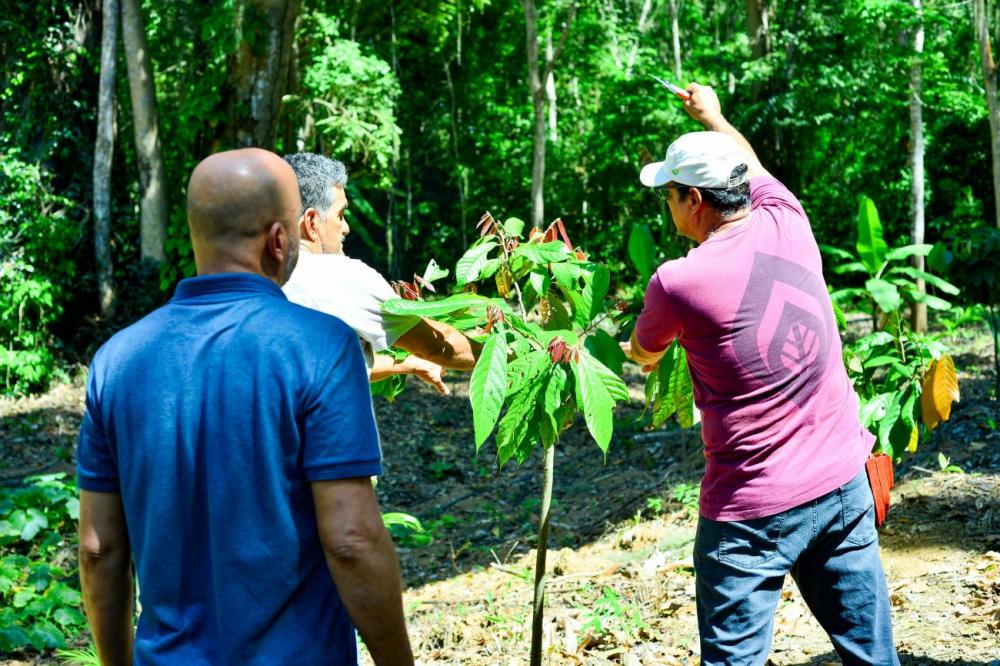 Foto: Divulga&ccedil;&atilde;o/Imaflora