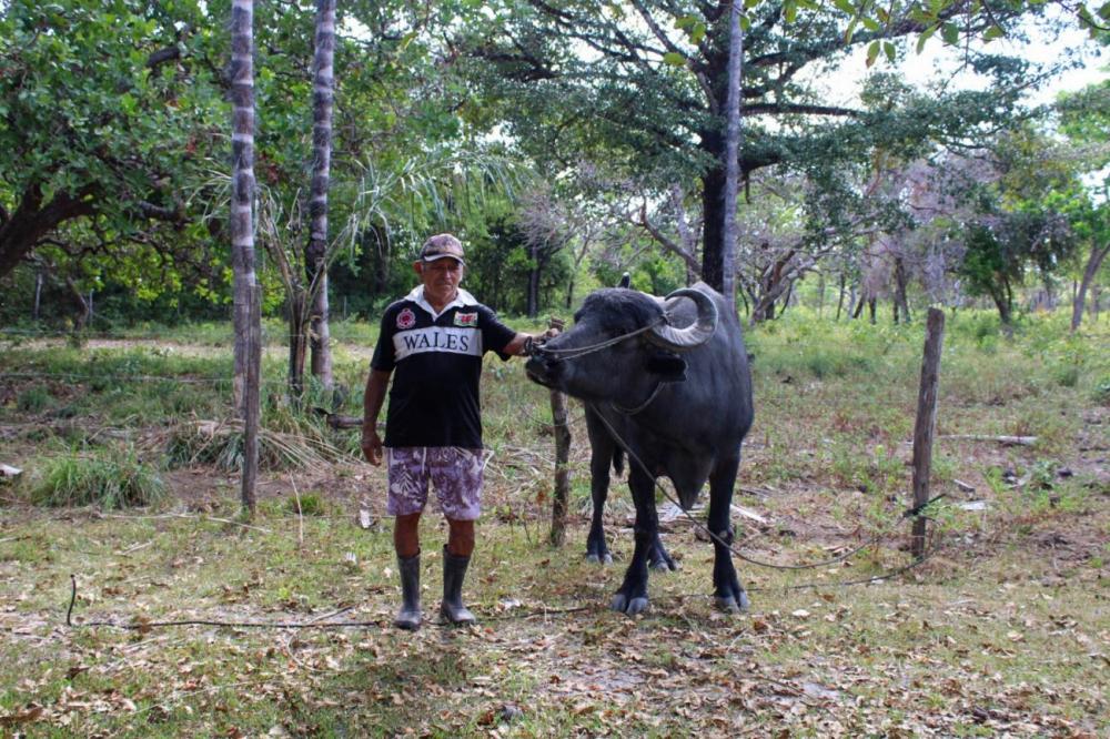 Foto: ASCOM / ADEPARA