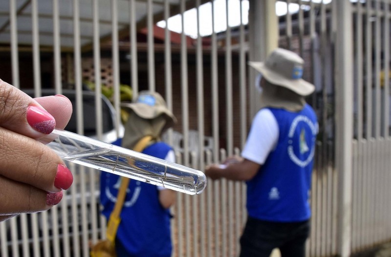 Dengue deixa de ser doença sazonal e afeta saúde pública o ano todo