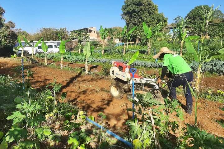 Hortas comunitárias reforçam a segurança alimentar da população