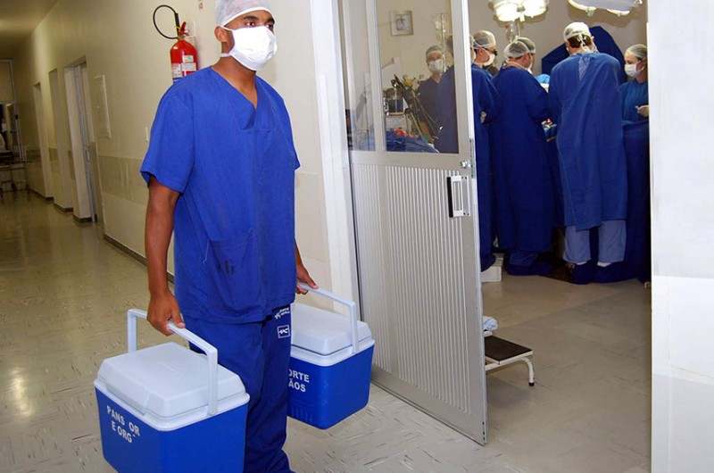 CAS vota projeto de apoio a transplante de medula