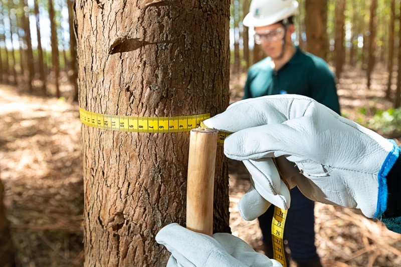 Normas de licenciamento ambiental são atualizadas