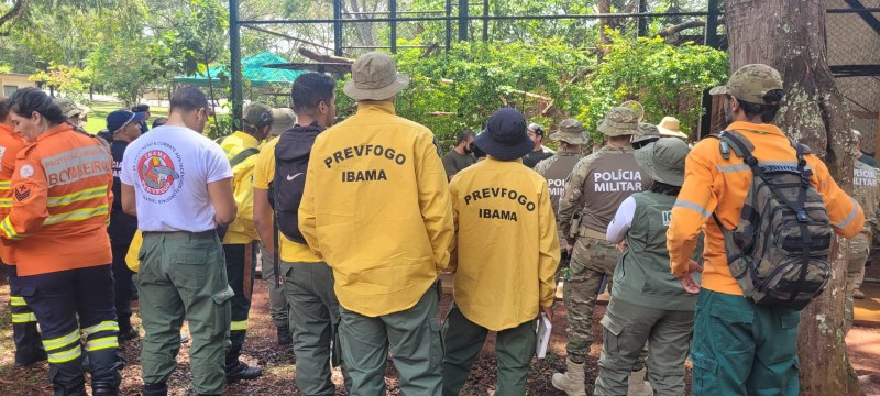 Zoo treina especialistas em resgate de animais em incêndios florestais