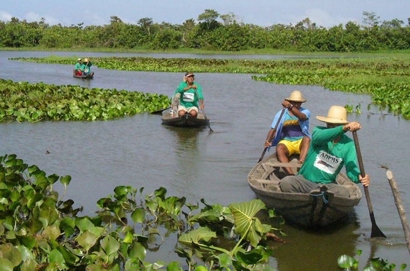 Títulos verdes serão debatidos nesta sexta-feira