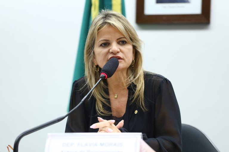 Flávia Morais: profissionais essenciais ficam mais expostos ao risco de contaminação - (Foto: Vinicius Loures/ Câmara dos Deputados)