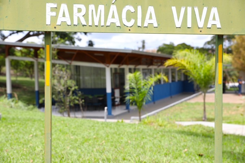 UBSs disponibilizam fitoterápicos manipulados pela própria rede pública