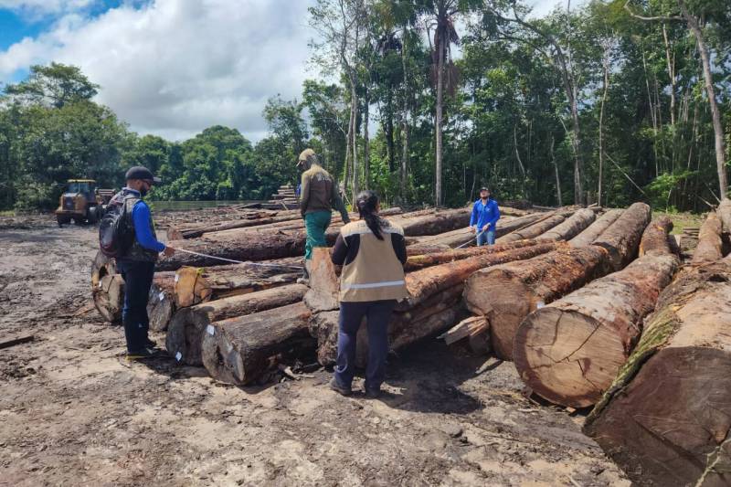 Forças de segurança apreendem madeira irregular e prendem quatro pessoas no Marajó