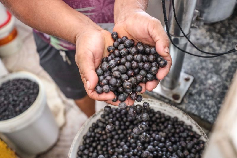 Semas divulga iniciativas selecionadas para o Bio Business 2023
