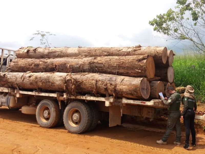 Cadastro de transportes de produtos florestais está ativo no site da Semas