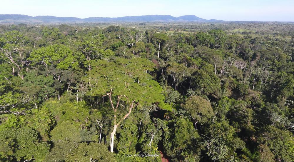 Semas divulga índices provisórios para repasse de ICMS Verde aos municípios em 2024