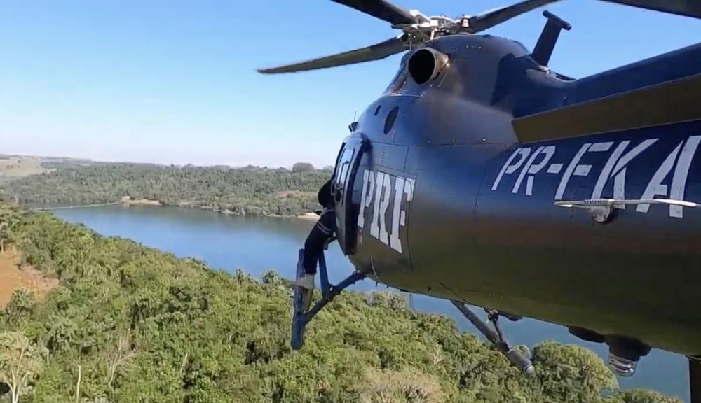 PRF lança 4 toneladas de sementes de Palmeira Juçara na Mata Atlântica