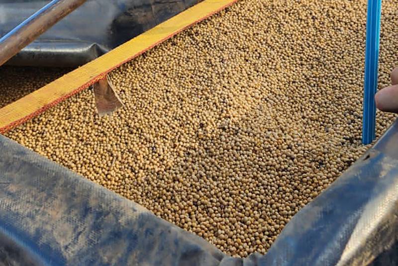 Secretaria da Fazenda do Pará (Sefa) apreende 100 toneladas de soja no Araguaia