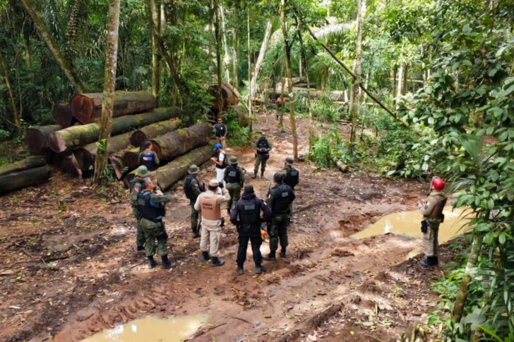 Em 150 dias, Operação Curupira executa mais de 300 ações integradas no Pará
