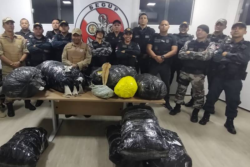 Agentes de segurança da base Antônio Lemos apreendem R$ 400 mil em pescado irregular, no Marajó