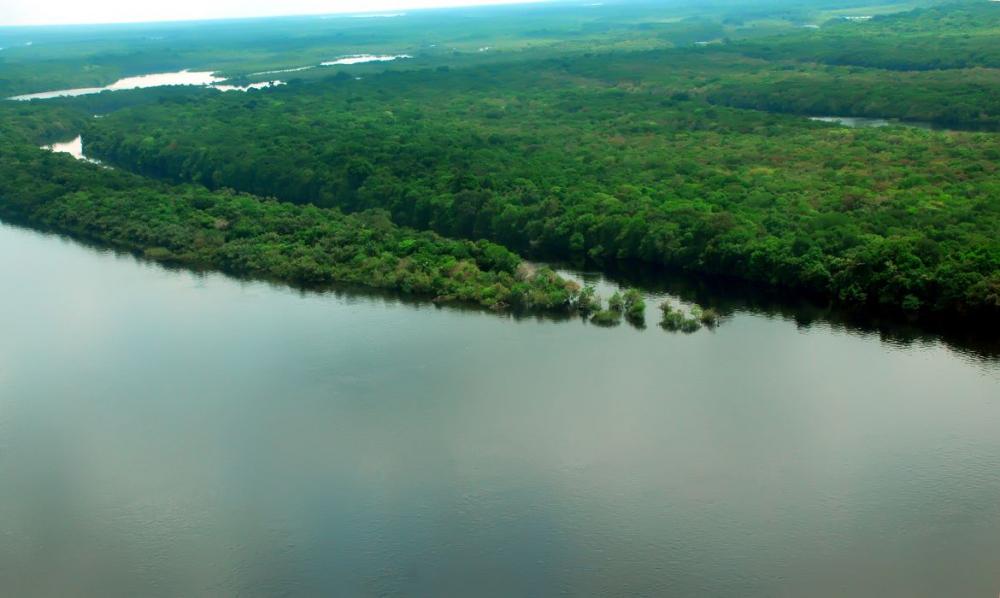 Cúpula, em Belém, será a “voz amazônica”, diz diretor da OTCA