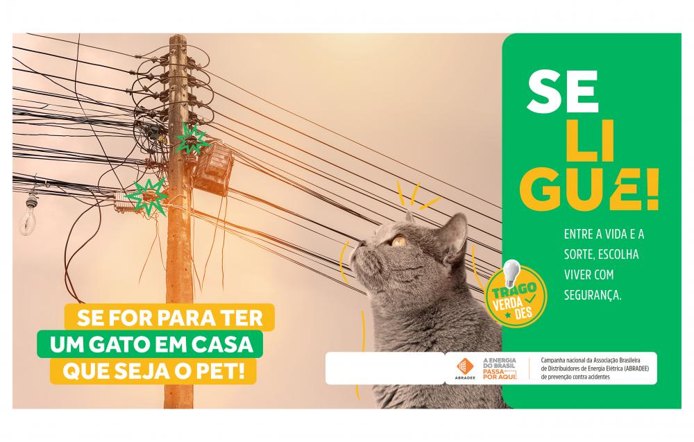 Agosto Vermelho busca conscientizar sobre acidentes com rede elétrica