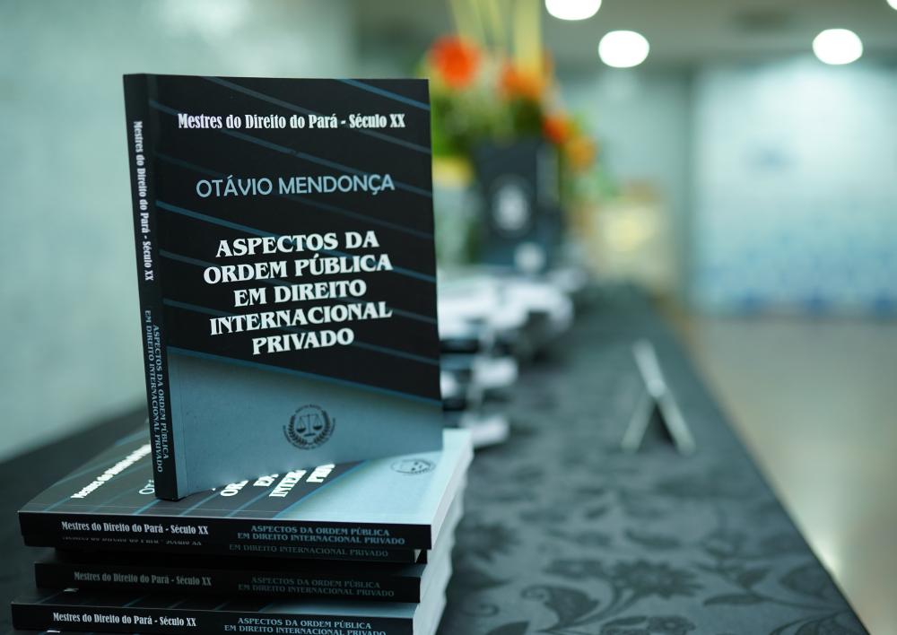 SEGUNDO LIVRO DA SÉRIE 