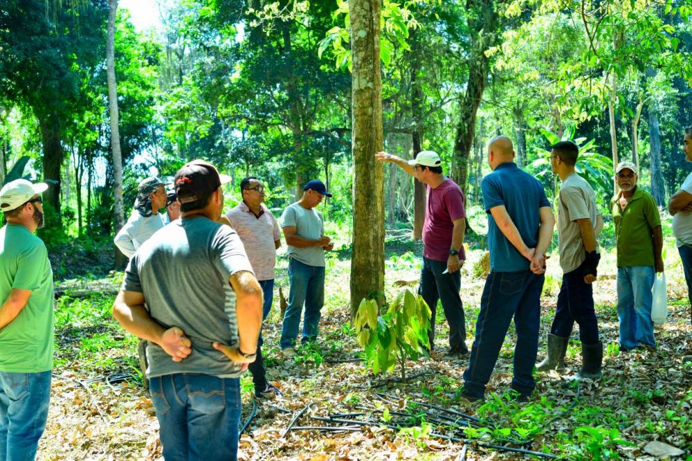 Ideflor-Bio integra formação do Imaflora para implementação do Currículo de Sustentabilidade do Cacau