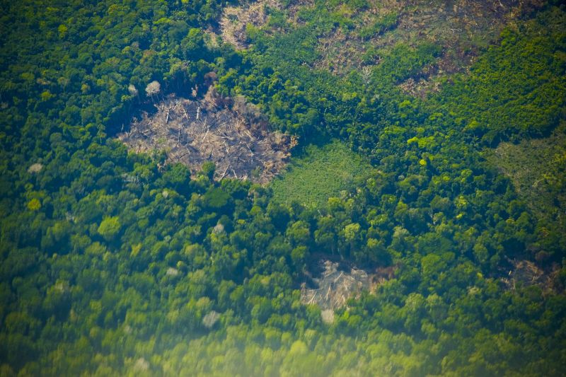 Pará e Governo Federal discutem programa para o combate ao desmatamento