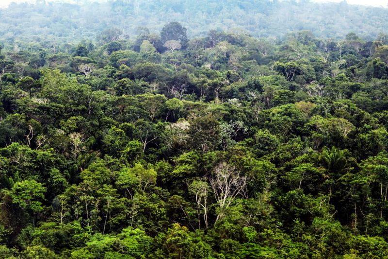 Semas abre diálogo com a sociedade para a construção do Plano de Recuperação da Vegetação Nativa