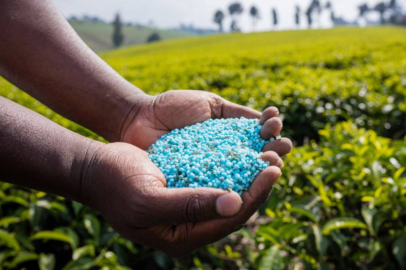 Fábrica do ramo de fertilizante será inaugurada no Pará, com apoio da Codec