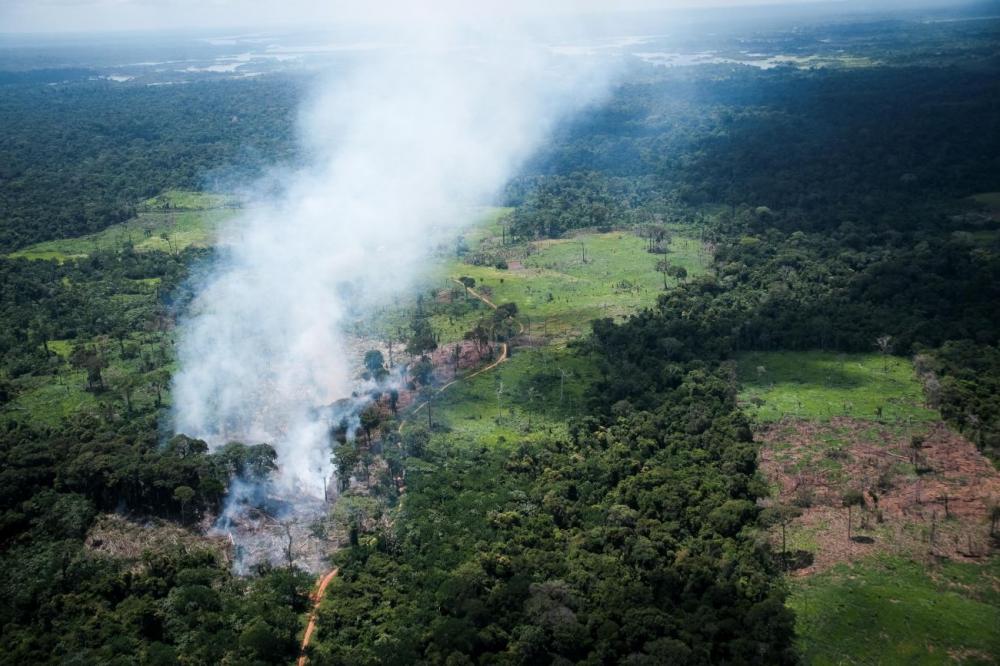 Pará vai implementar modelo de restauração florestal com créditos de carbono