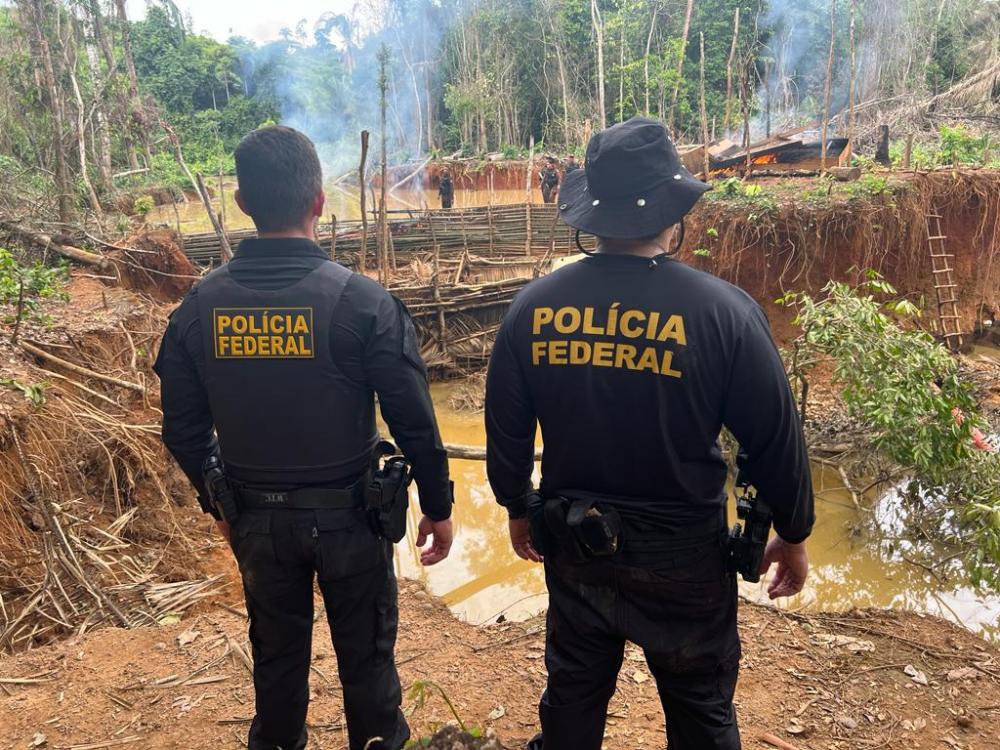 PF combate crimes ambientais no PA