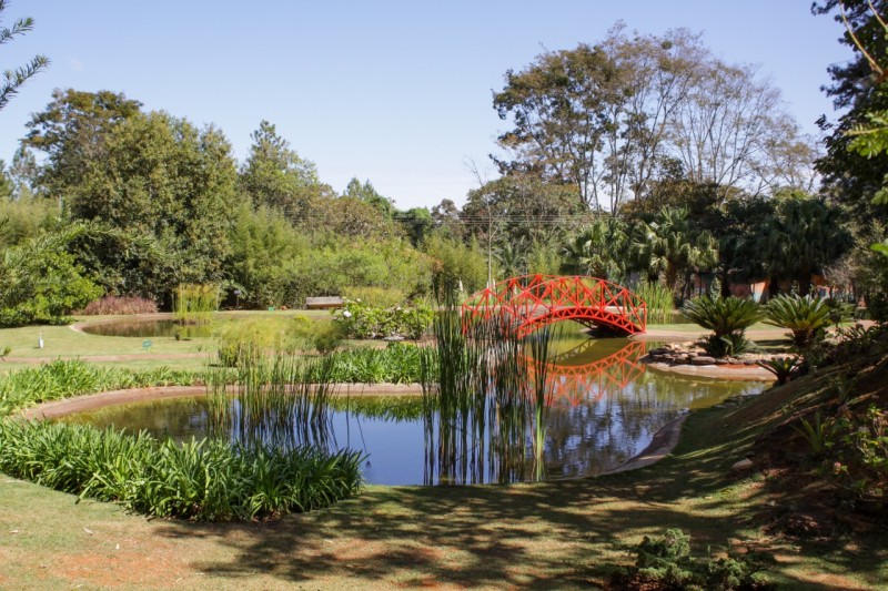 Tradicional Dia no Parque está de volta neste domingo (24)