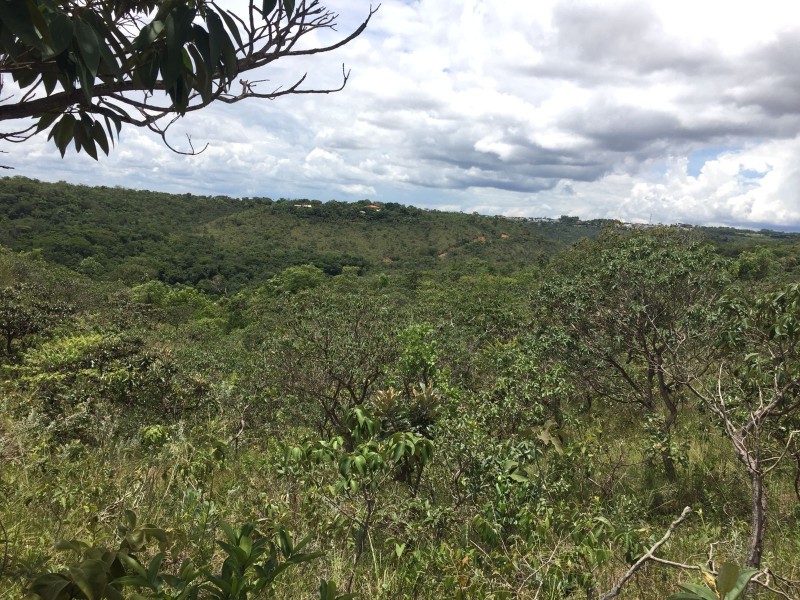 DF ganha primeira reserva particular do patrimônio natural