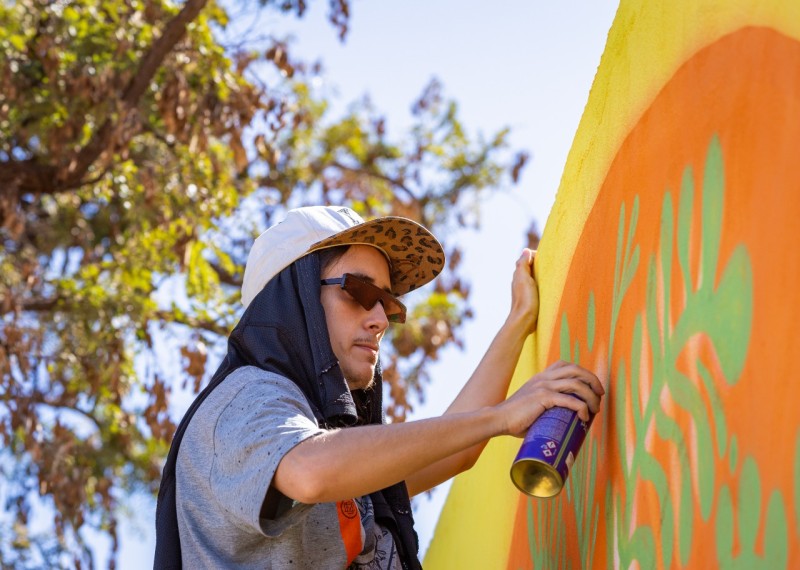 Painéis de grafite em pontos das asas Sul e Norte, Samambaia e Planaltina